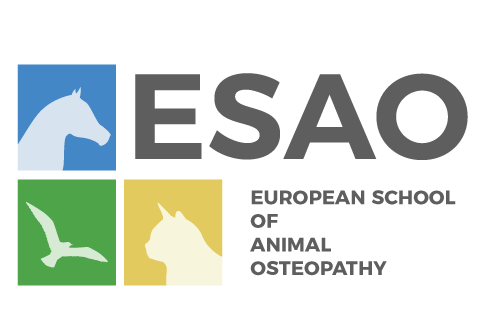 Logo de l'école ESAO